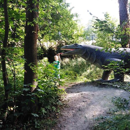 Landpension Haupt Sebnitz Esterno foto
