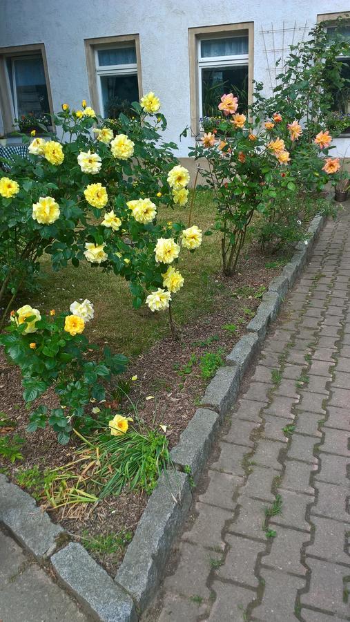 Landpension Haupt Sebnitz Esterno foto