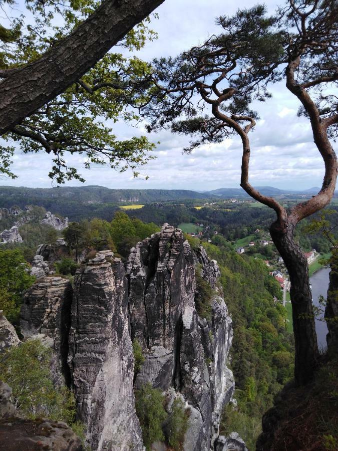 Landpension Haupt Sebnitz Esterno foto